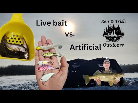 Live Bait VS Artificial Ice Fishing Challenge. Walleye and Pike