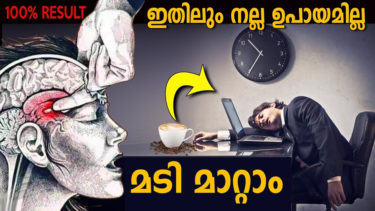 മടിയുടെ മനഃശാസ്ത്രവും പരിഹാരവും - ഇന്ന് മുതൽ ഒരു പുതിയ ജീവിതം SOLUTIONS FOR LAZINESS - LIFE CHANGING