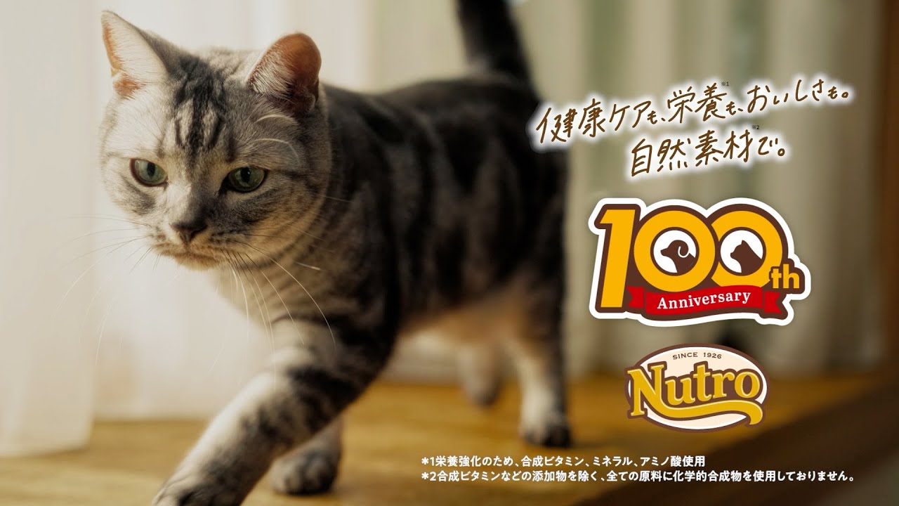 ニュートロ特集 猫用製品|チャーム