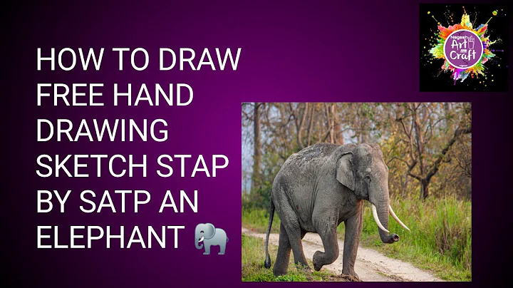 HOW TO DRAW FREE HAND DRAWING SKETCH STAP BY SATP AN ELEPHANT 🐘.