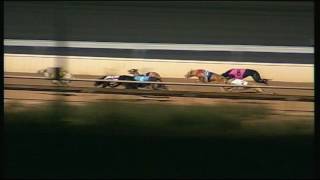 WGL TUE 13 DEC 16 R11