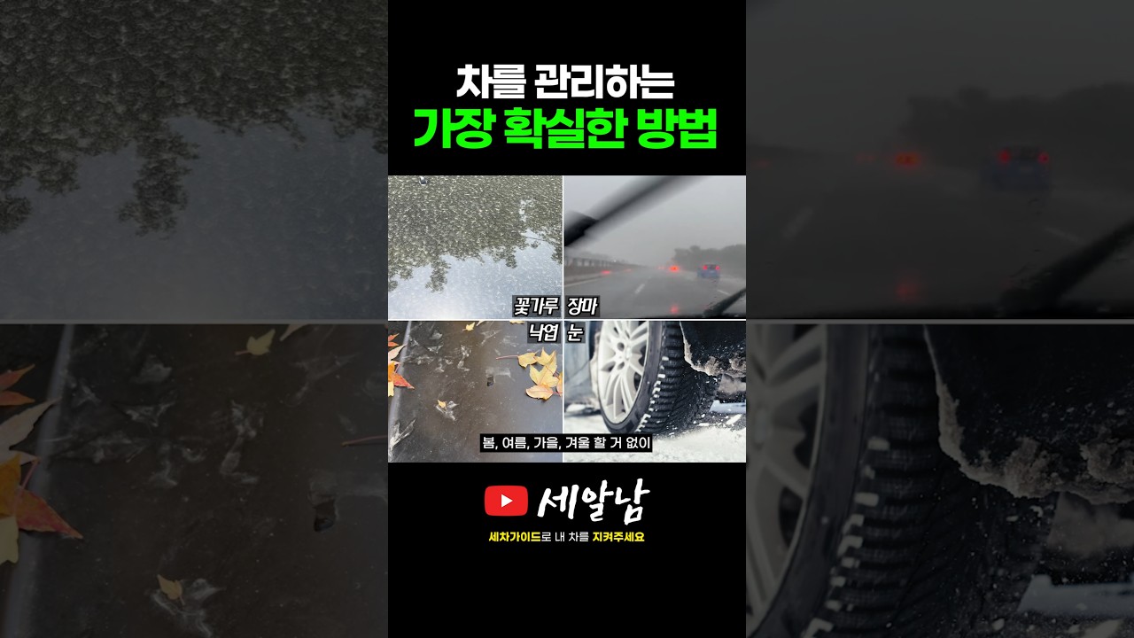 세차를 해야하는 이유와 방법