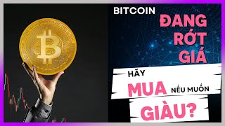 Bitcoin RỚT GIÁ, bạn nên HỌC rồi MUA PI NETWORK sẽ GIÀU?