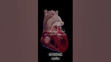 قران كريم بصوت جميل #قرآن #اكسبلور #قران_كريم #دويتو #quran