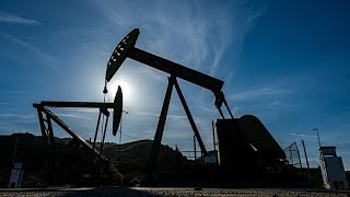Oil steadies as IEA and G7 move to release record reserves