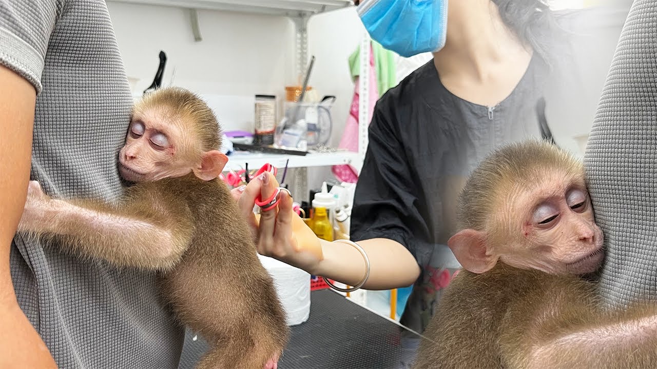 I Thought He Was Just Average… But It Turns Out JOBI Is Incredibly Handsome!