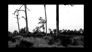 Spiritangel Caught On Film Possible Information On Michael The Arch Angel