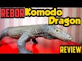 Review 1/6 Rebor Komodo Dragon Figure