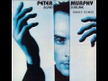 Peter Murphy Blind Sublime Dance Remix 1988 mp3
