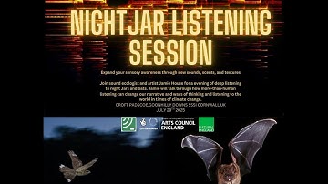 🌙 Immersive Nightar | Night Sounds, Field Recordings & Dark Atmosphere