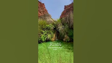 الآية 77 من سورة الحج