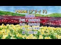 1996年 今井美樹 PRIDE(プライド)