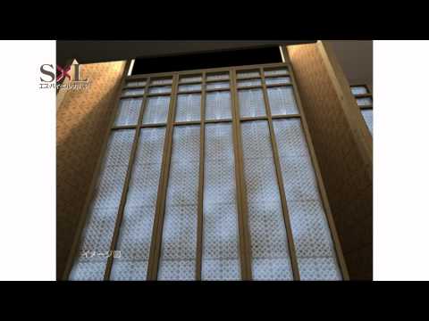 エス・バイ・エル・カバヤCM構造篇30秒