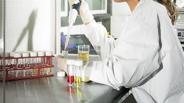 Disinfectant testing | Campden BRI