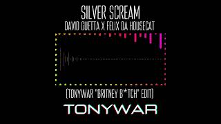 David Guetta & Felix da Housecat - Sliver Scream (TonyWar "Britney B*tch" Mashup)