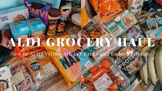 ALDI GROCERY HAUL - NEW IN ALDI, BUDGET FRIENDLY, YELLOW STICK BARGAINS