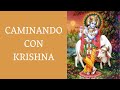 #9 CAMINANDO CON KRISHNA, Rubén Cedeño