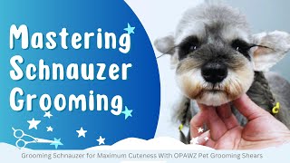 The Ultimate Guide to Grooming Schnauzer for Maximum Cuteness | OPAWZ Grooming Shears #groomingtips