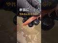 頭が取れないひとつテンヤ用のエビが凄い#フィッシングマックス #タイ #ひとつテンヤ #エサ釣り VOICEVOX:ずんだもん #fmaxweb