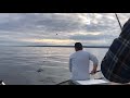 En riktigt fin röding på vättern 2017 :-) A really nice arctic char on lake vättern 2017