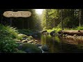 Calm Flowing River 🌿 Peaceful Natural Ambience for Meditation and Deep Sleep #811