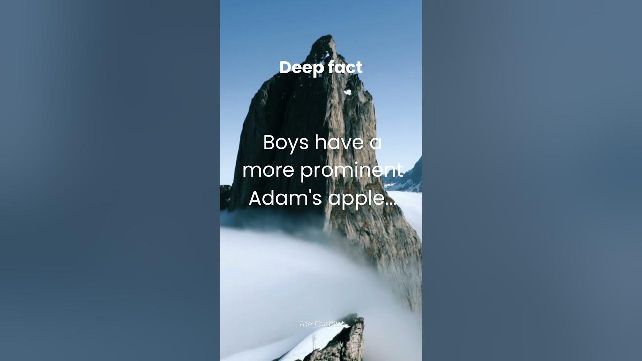 Deep fact60 Boys have a more prominent Adam's apple... shorts viral