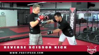 MMA Tips: Reverse Scissor Kick with Cung Le