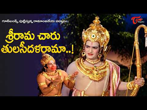 NTR and Arja Janardhana Rao Goosebumps Padyalu | Sri Ramanjaneya Yuddhamu Movie | Old Telugu Songs