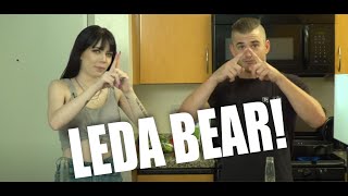 Leda bear