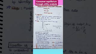 Class 12 Commerce Microeconomics | Consumer Equilibrium through utility analysis #Toppers notes