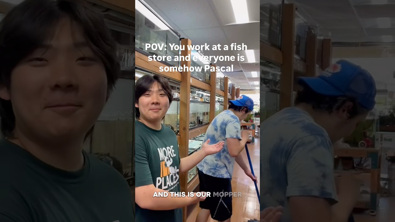Pascal Does Everything at the Fish Store 😂