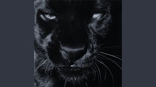 space inversion
