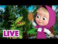 🔴 LIVE STREAM 🎬 Masha and the Bear ✨ Everybody has a gift 🎭