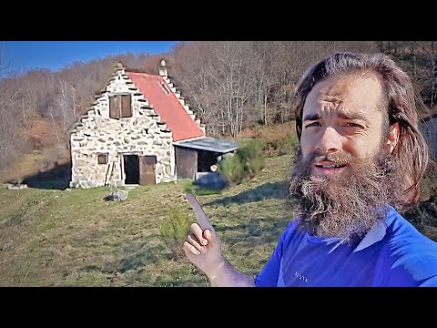 Vidéo: Charmante maison rustique entourée de bois et de prés en Suède