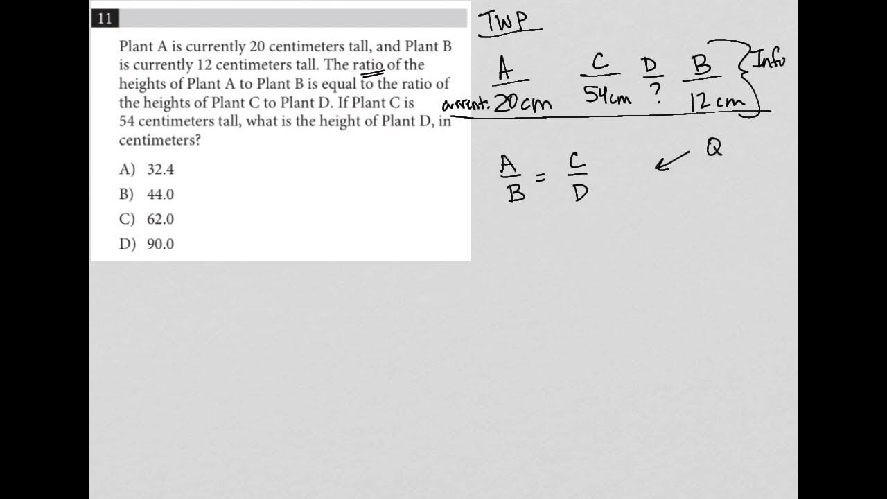 Plant A is currently 20 centimeters tall, and Plant B is currently 12
