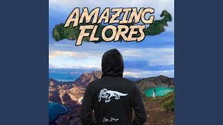 Amazing Flores