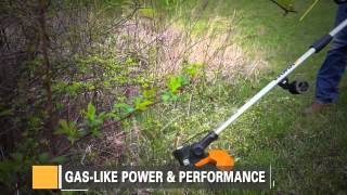 Dr. Frank - Worx 56V Trimmer And Edger B-Roll