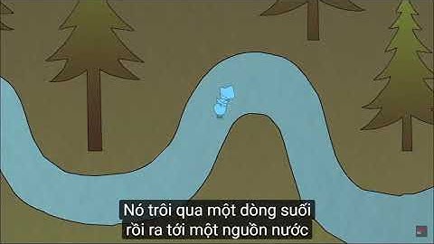 Chuyện chai nhựa