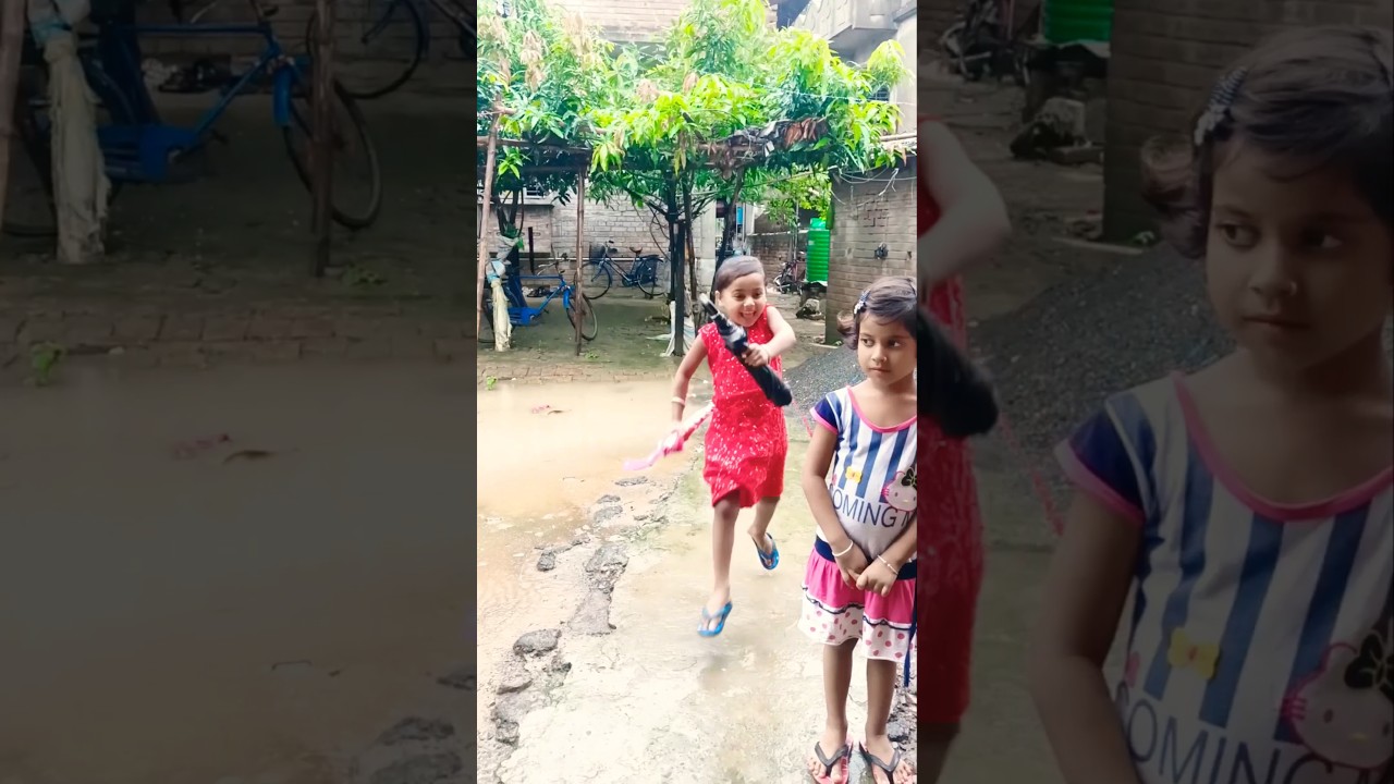 Umbrella 🏖️🏖️☔☔