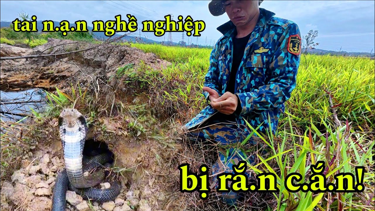 Tai N.ạn Nghề Nghiệp Phát Hiện 2 Con Rắn Ở Trong Bờ Ruộng Bị Nó C.ắn ...