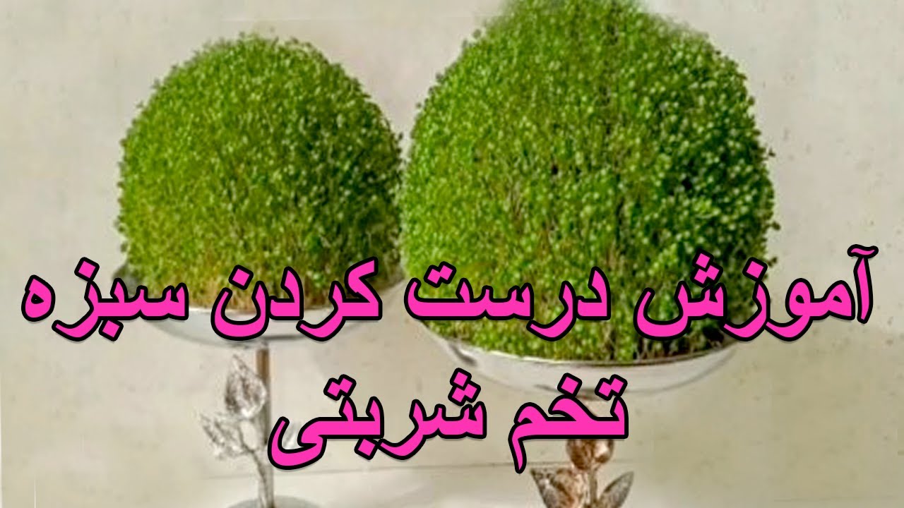 آموزش درست کردن سبزه تخم شربتی