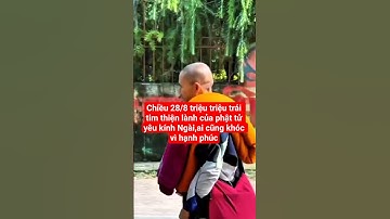 chiều 28/8 triệu triệu trái tim từ bi của phật tử,ai cũng khóc#shortvideo #suminhtue