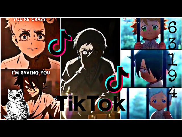 animes parecidos com the promised a｜Pesquisa do TikTok