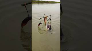 Amazing 4 Bamboo Stick Trap Catfish Fishing | Huge Catfish Catch 🎣 #Shorts