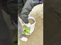 Cut a Bucket, Double the Speed! Smart Trick for Filling Sand Bags