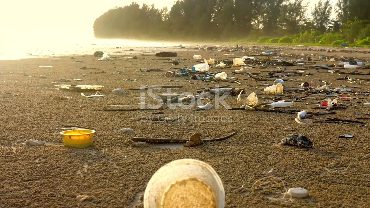 "Promise of the Tides: Lily's Quest Against Plastic Pollution"