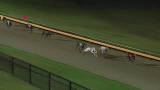 WBL THU 21 MAR 19 R12