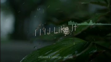 Andréiy & CADWEEL-Nature (Original Music Video)