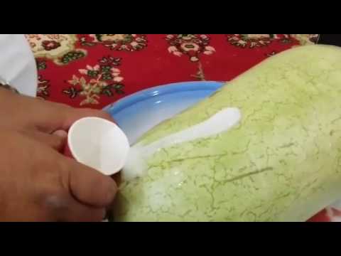 حبحبه مسمومه