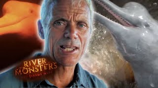 Murderous DOLPHINS | COMPILATION | River Monsters